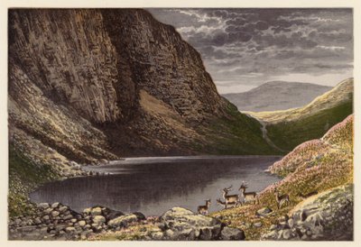 Sceneria szkockiego jeziora: Dhu Loch, Loch-na-gar (kolorowa litografia) autorstwa Alexander Francis (after) Lydon