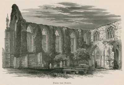 Bolton Priory, z północy autorstwa Alexander Francis Lydon