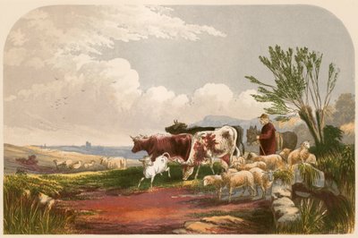 Ilustracja do Opuszczonej wioski złotnika autorstwa Alexander Francis Lydon