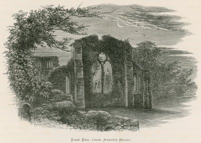 Opactwo Netley, East End, z domu opata autorstwa Alexander Francis Lydon