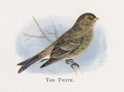 Twitte autorstwa Alexander Francis Lydon
