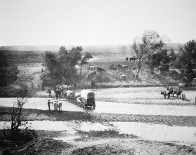 Kryty wagon przekraczający Tecolate Creek, Nowy Meksyk autorstwa Alexander Gardner