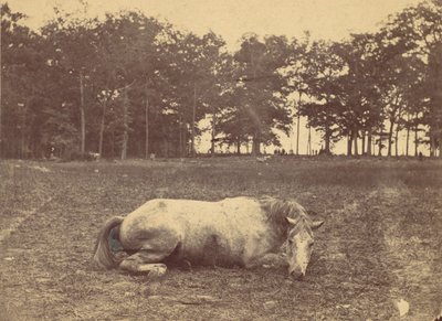Czy to śmierć - pole bitwy pod Antietam, wrzesień 1862, 1862. autorstwa Alexander Gardner