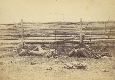 Widok w polu, Po zachodniej stronie Hagerstown Road, Po bitwie pod Antietam, ..., 1862. autorstwa Alexander Gardner