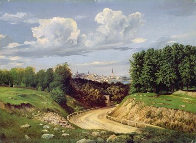 Widok na Tallin autorstwa Alexander Georg Schlater
