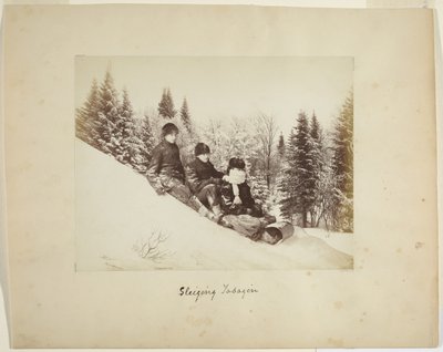 Saneczkarstwo, ok. 1873 (druk albumowy (kompozytowy)) autorstwa Alexander Henderson