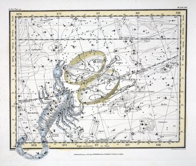 Konstelacje (tabl. XIX) Waga i Skorpion, z „Atlasu niebieskiego” Aleksandra Jamiesona, wyd. Londyn 1822 (ręcznie kolorowane grawerowanie) autorstwa Alexander Jamieson