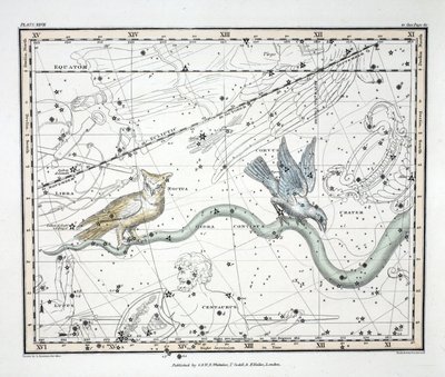 Konstelacje (tabl. XXVII) Hydra Continua, Crater, Covus, Centaurus et Lupus, z „Atlasu niebieskiego” Alexandra Jamiesona, wyd. Londyn 1822 (ręcznie kolorowane grawerowanie) autorstwa Alexander Jamieson
