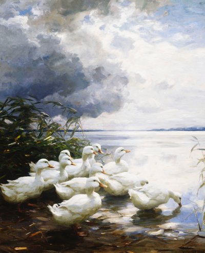 Kaczki na brzegu jeziora autorstwa Alexander Koester
