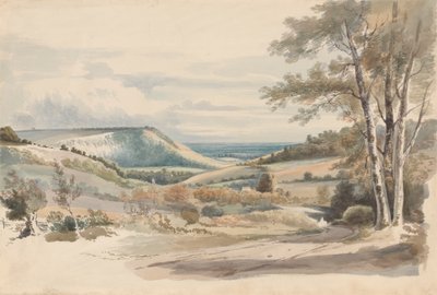 Boxhill z West Humble Lane autorstwa Alexander Monro