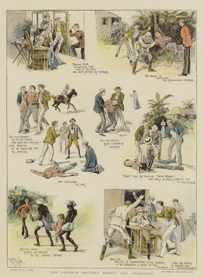Lekarstwo lekarza amatora na ukąszenie węża (chromolitho) autorstwa Alexander Stuart Boyd