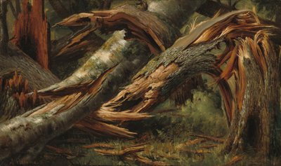 Upadłe drzewo autorstwa Alexandre Calame