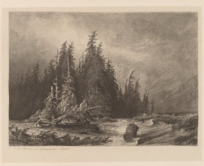 Sosny Górskie autorstwa Alexandre Calame