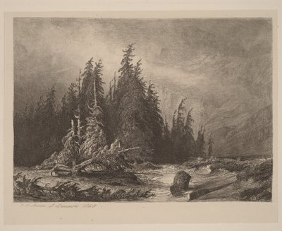 Sosny górskie autorstwa Alexandre Calame