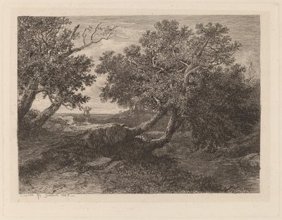 Strumień z zwisającymi drzewami autorstwa Alexandre Calame