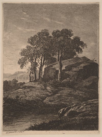 Drzewa przy skale autorstwa Alexandre Calame