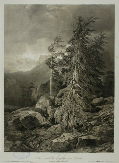 Bez tytułu autorstwa Alexandre Calame