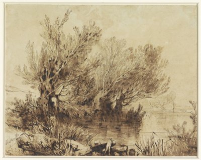 Wierzby na jeziorze w łagodnie opadającym terenie autorstwa Alexandre Calame