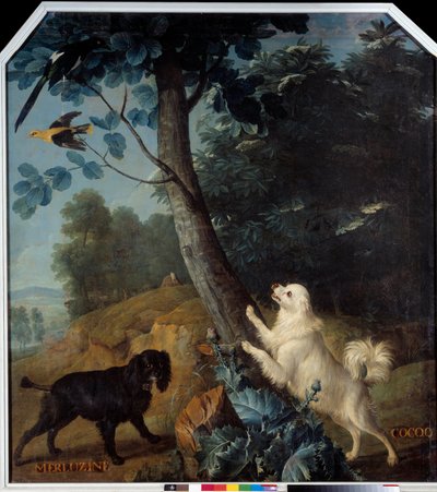 Merluzine i Cocoq, psy Ludwika XIV (1638-1715). Obraz Francois Desportes (1661-1743) autorstwa Alexandre Francois Desportes