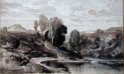 Czapla (bistre i pranie na papierze) autorstwa Alexandre Gabriel Decamps