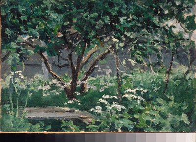 Un coin du jardin (Róg ogrodu) - Praca Aleksieja Stiepanowicza Stiepanowa (1858-1923), olej na tekturze autorstwa Alexei Steipanovitch Stepanov