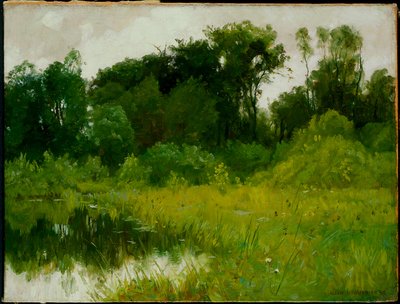 Po deszczu, nad zatoką Minnehaha autorstwa Alexis Jean Fournier