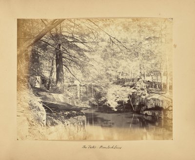 Wodospady - Drzewa Hemlock autorstwa Alfred Booth