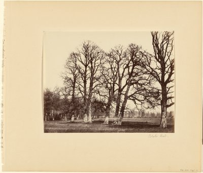 Blake Hall autorstwa Alfred Capel Cure