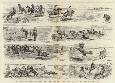 Łapanie dzikich koni na równinach Laramie w Ameryce Północno-Zachodniej autorstwa Alfred Chantrey Corbould