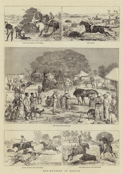 Polowanie na świnie w Bengalu autorstwa Alfred Chantrey Corbould