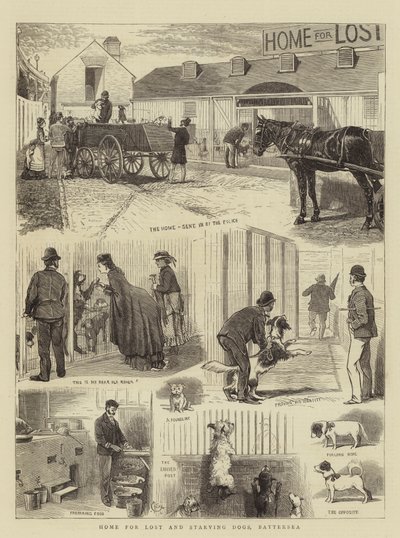 Dom dla zagubionych i głodujących psów, Battersea autorstwa Alfred Chantrey Corbould