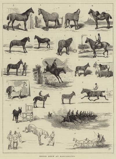 Pokaz koni w Manchesterze autorstwa Alfred Chantrey Corbould