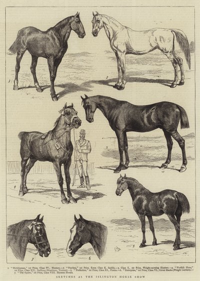 Szkice na Islington Horse Show autorstwa Alfred Chantrey Corbould