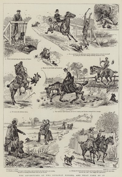 Przygody dwóch zbiegłych koni i co z tego wynikło autorstwa Alfred Chantrey Corbould
