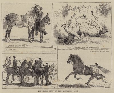 Pokaz koni w Alexandra Park autorstwa Alfred Chantrey Corbould