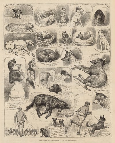Wystawa psów Związku Kynologicznego w Crystal Palace autorstwa Alfred Chantrey Corbould