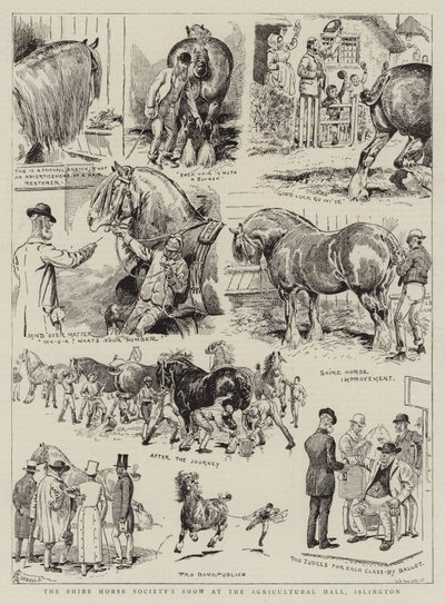 Shire Horse Society Show w Hali Rolniczej w Islington autorstwa Alfred Chantrey Corbould