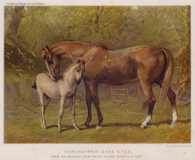 Klacz pełnej krwi i źrebię (kolor lito) autorstwa Alfred Chantrey Corbould