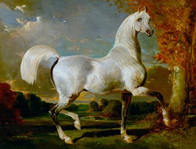 arabski ogier autorstwa Alfred Dedreux