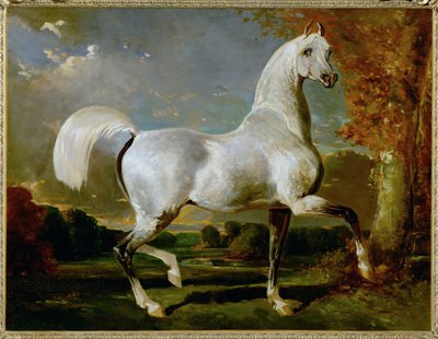 Etalon Arabe - Arabskiej krwi ... autorstwa Alfred Dedreux or de Dreux