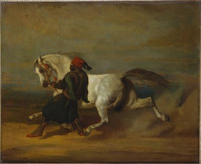 Duma paszy autorstwa Alfred Dedreux