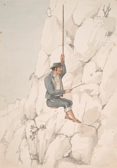 Gomero, zbieracz orchilli autorstwa Alfred Diston