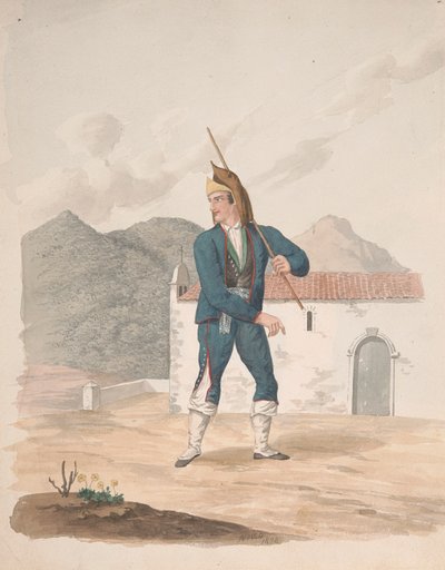 Palma autorstwa Alfred Diston