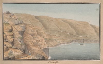 Widok La Rambla de Castro w pobliżu Port Orotava, Teneryfa autorstwa Alfred Diston