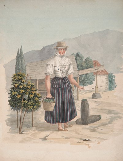 Kobieta z El Miradero na Teneryfie autorstwa Alfred Diston