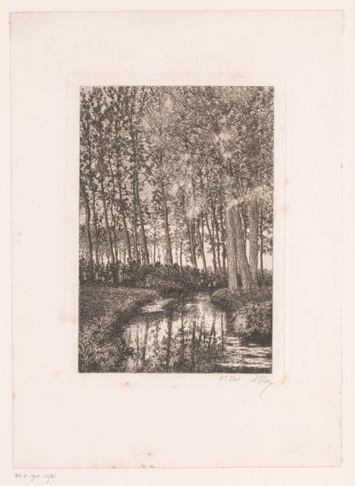 Wysokie drzewa nad wodą autorstwa Alfred Elsen (signed by artist)