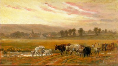 Zachód słońca w pobliżu Amberley (olej na płótnie) autorstwa Alfred Fitzwalter Grace