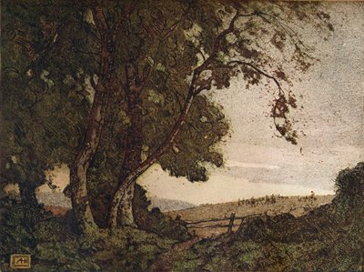 Opadający popiół, ok. 1910 r. autorstwa Alfred Hartley