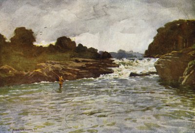 Kathleens Falls, Ballyshannon autorstwa Alfred Heaton Cooper