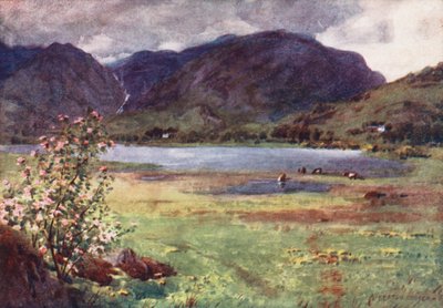 Lake District: Little Langdale Tarn (kolorowa litografia) autorstwa Alfred Heaton Cooper